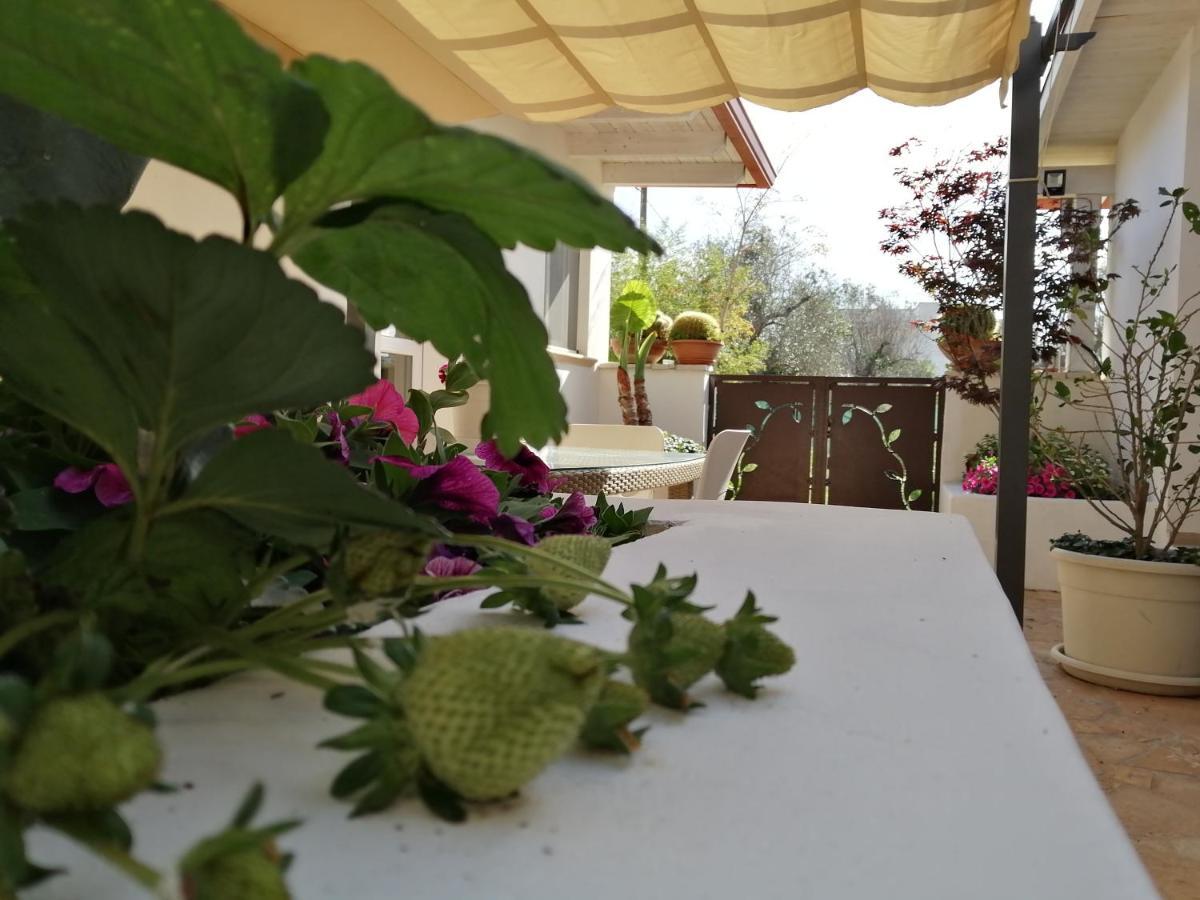 Villa Raggio Di Sole Parcheggio Privato Porto Cesareo Exterior foto